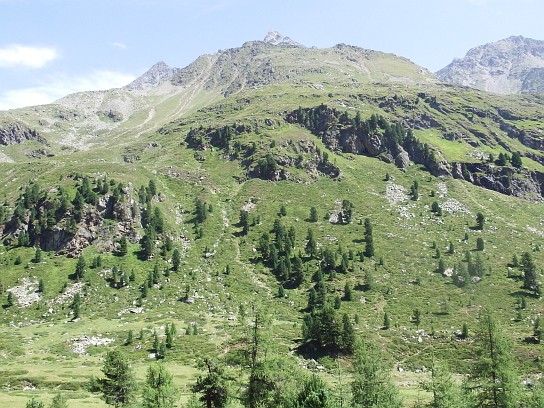 91. Pohled od Lienzer Hütte na východ, nahoře špička Keeskopf
