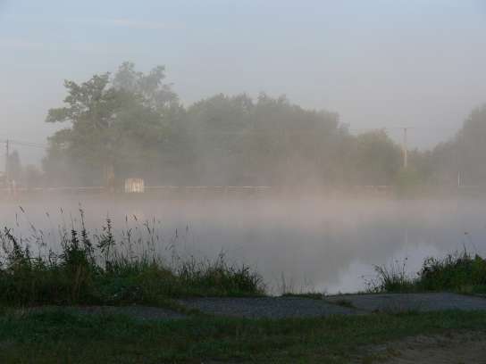 Mlha nad rybníkem