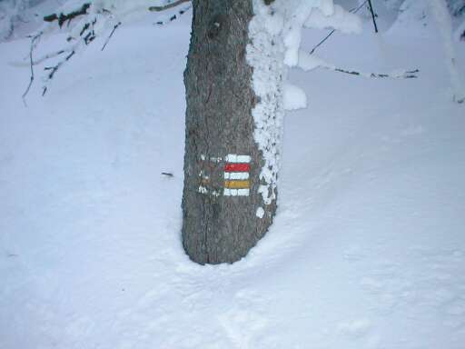 Turistická značka 20 cm nad sněhem
