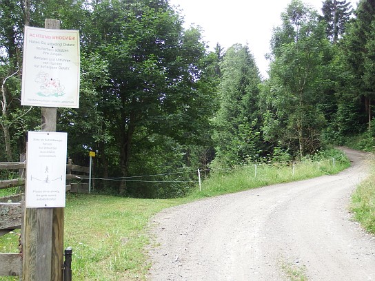 3. Cesta z Putschall směrem k Gradental
3. Cesta z Putschall směrem k Gradental