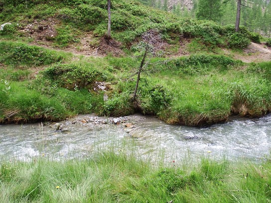 64. Potok u přístřešku
64. Potok u přístřešku
